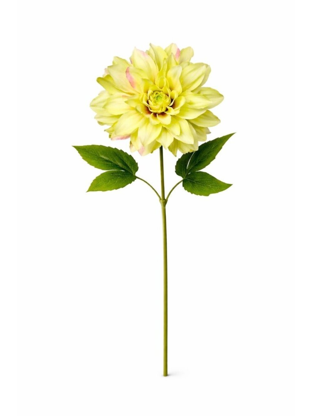 Green Dahlia Stem Artificial Flower 24 Inch 5 Inch Bloom Light Green